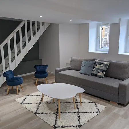 Grande Maison Proche Aeroport